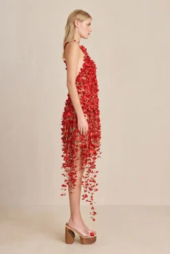 Dresses><noscript><img width=