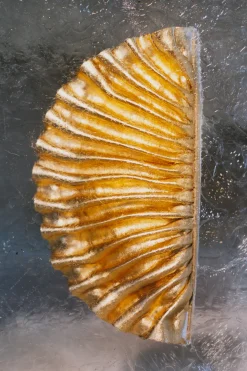 Mini Bags|Clutches><noscript><img width=