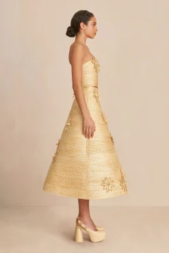 Bottoms><noscript><img width=