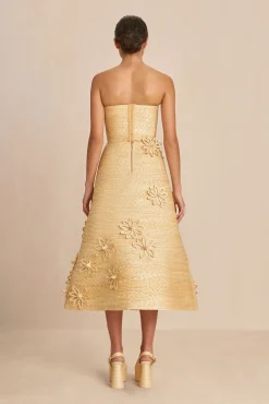 Bottoms><noscript><img width=